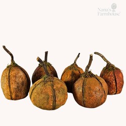 Krisnick Assorted Pumpkins Colors &  Sizes