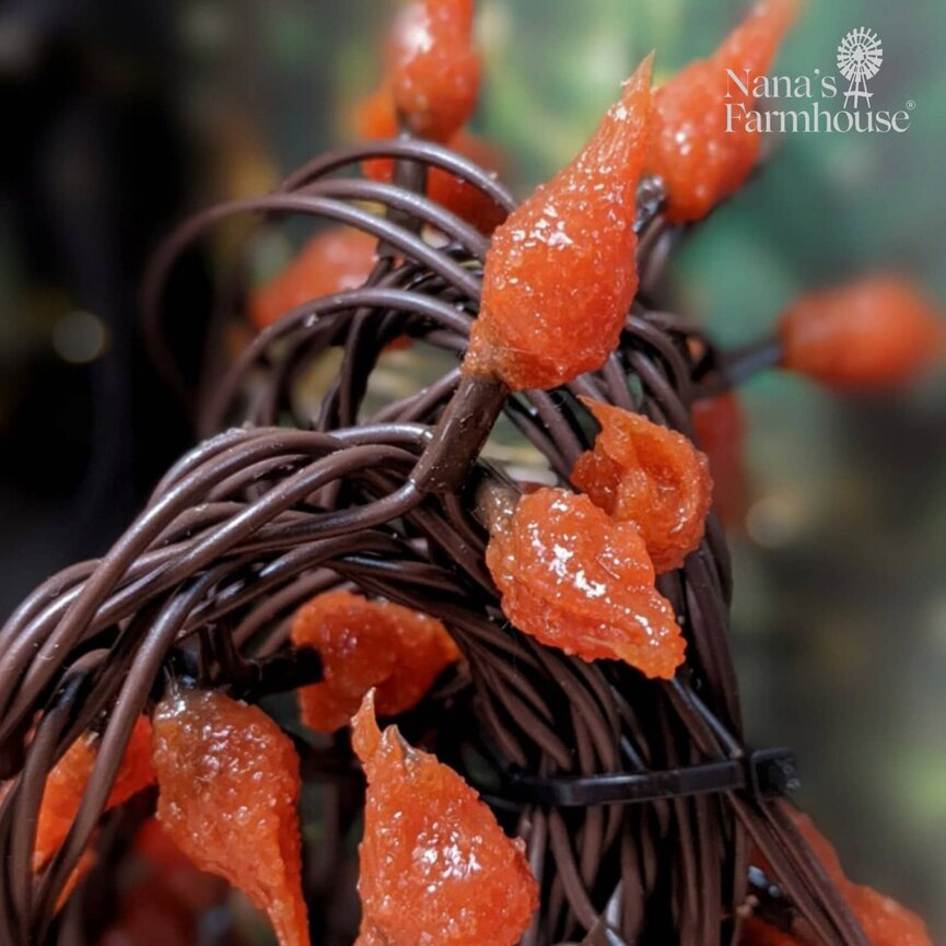 Bittersweet Teeny Lights 50 Count Electric - 11'