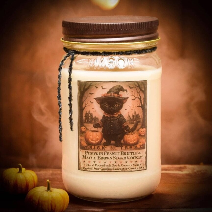 Trick Or Treat Pumpkin, Peanut Brittle & Maple Brown Sugar Cookies Soy Jar Candle - 16oz