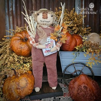 Scarecrow Boy Doll with Farmers Signs - 15.5"