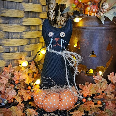 Black Cat On Orange Pumpkin - 8"