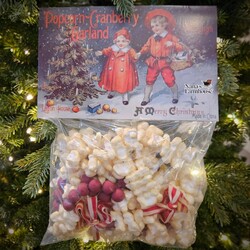 Popcorn Cranberry Garland - 9' Long