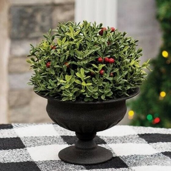 New England Boxwood with Berries Half Sphere
