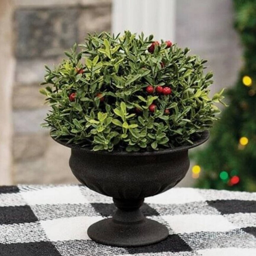New England Boxwood with Berries Half Sphere - 8"