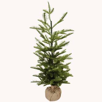 Shetland Spruce Tree W/Burlap Base 32 T