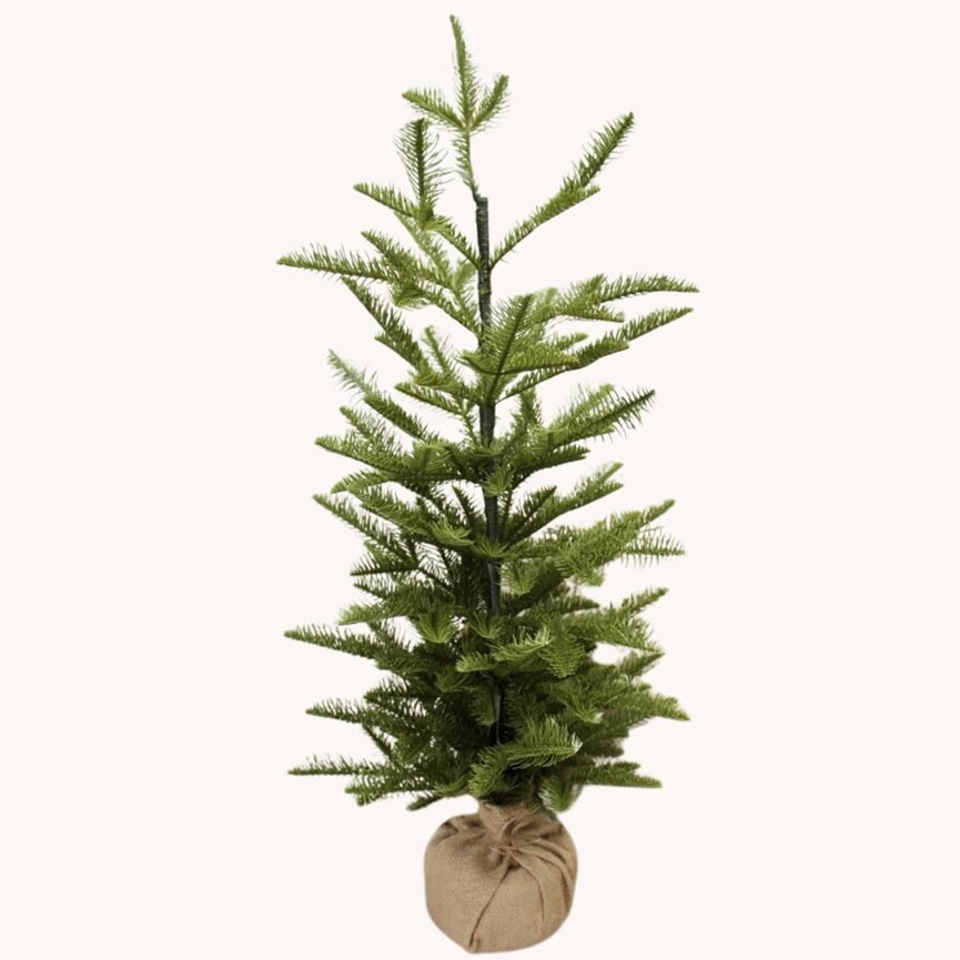 Shetland Spruce Tree W/Burlap Base 32 T