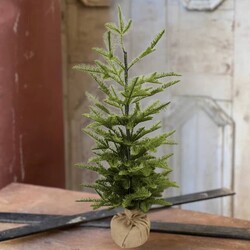 Shetland Spruce Tree W/Burlap Base 32 T