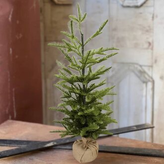 Shetland Spruce Tree - 32"