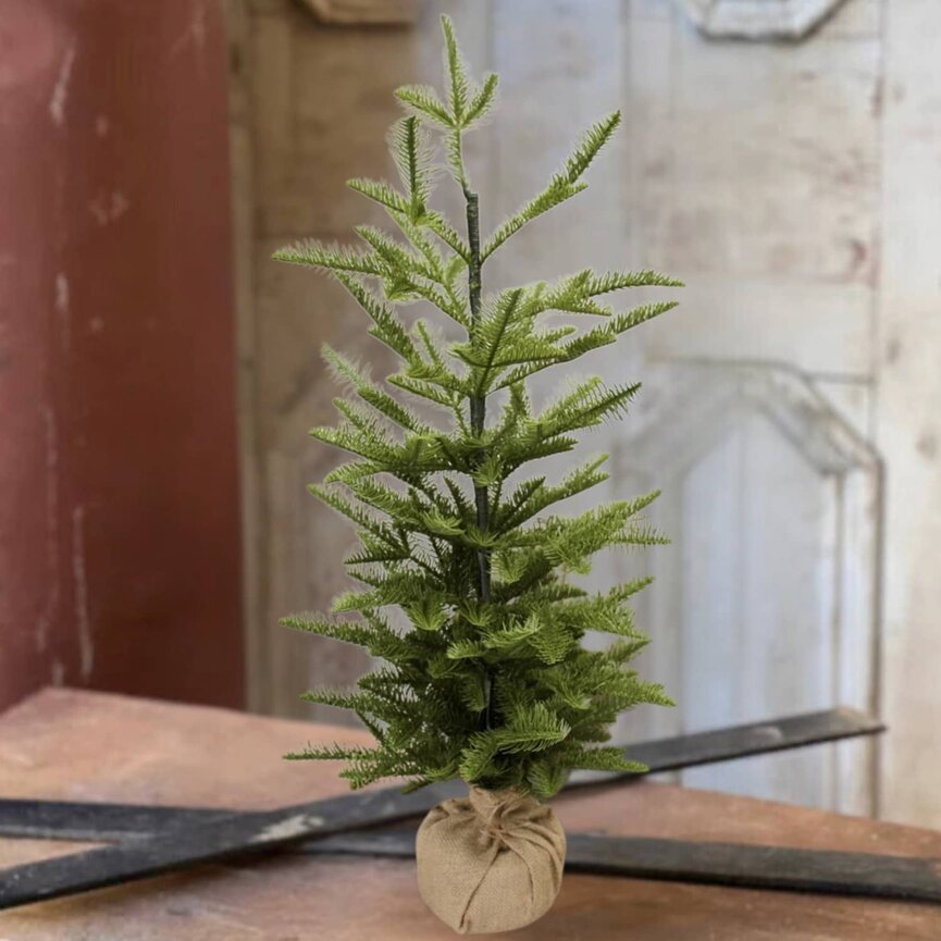 Shetland Spruce Tree W/Burlap Base 32 T