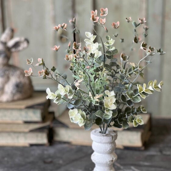 Adair Eucalyptus Bush