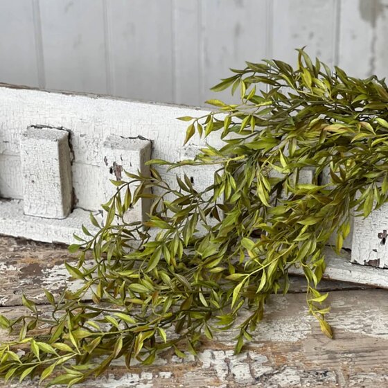 Smilax Hanging Green