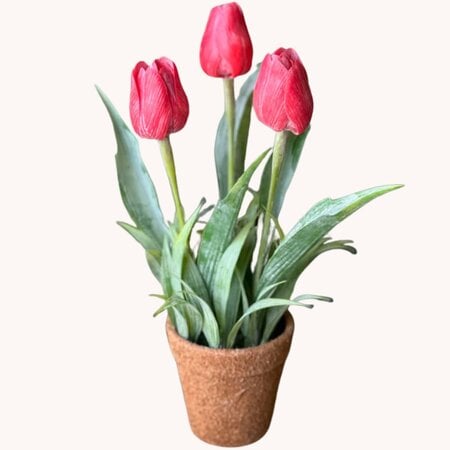 Holland Tulip Pot Red - 12"