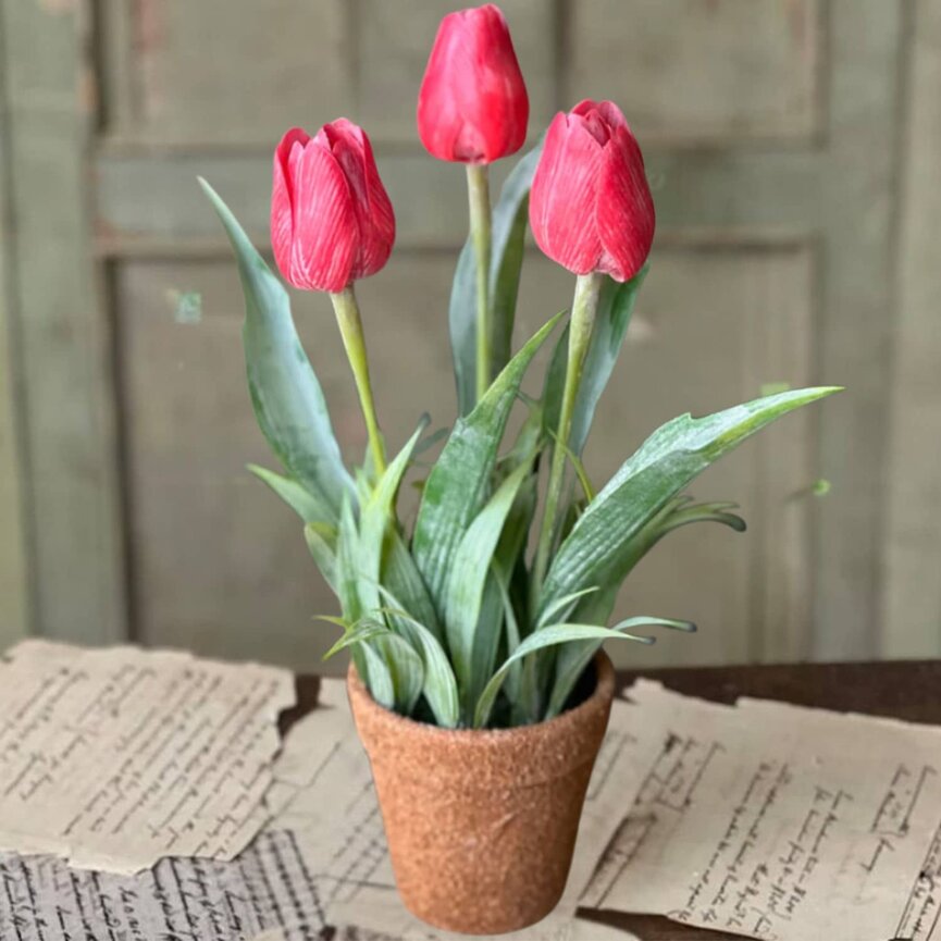 Holland Tulip Pot Red - 12"
