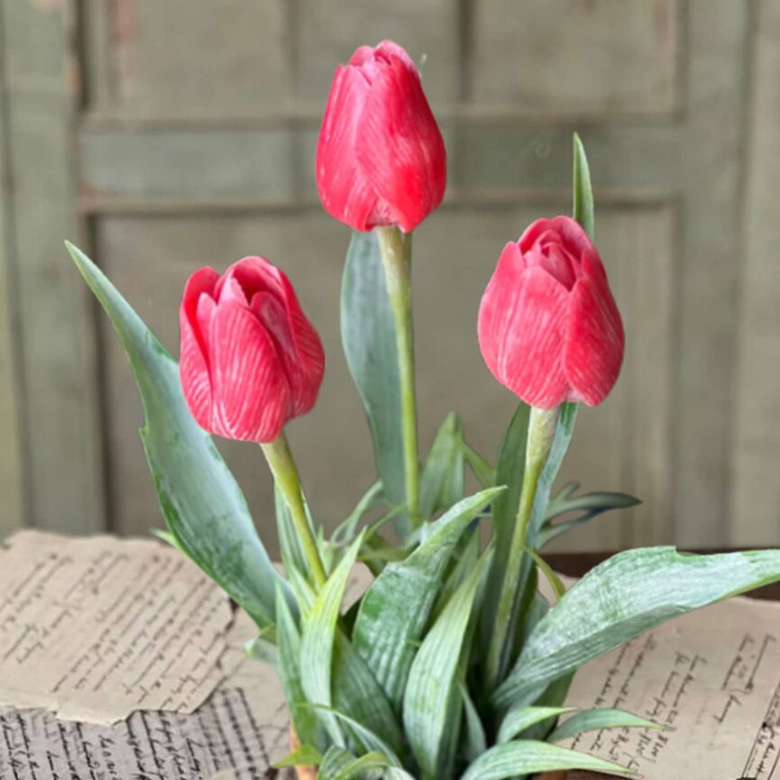 Holland Tulip Pot Red - 12"