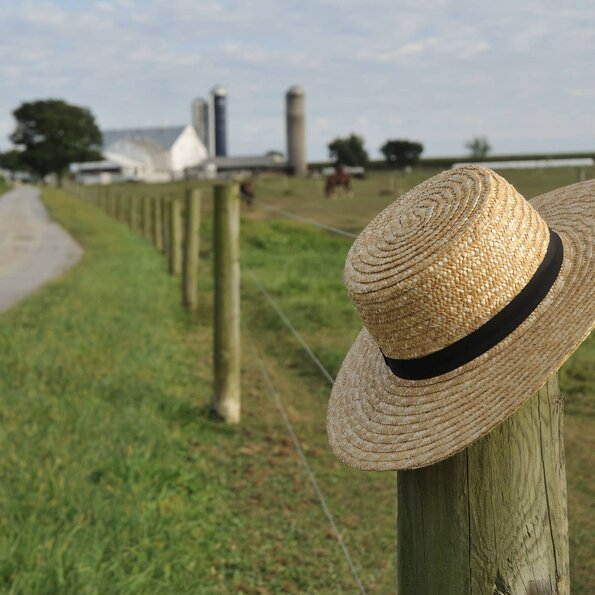What is Amish Furniture?