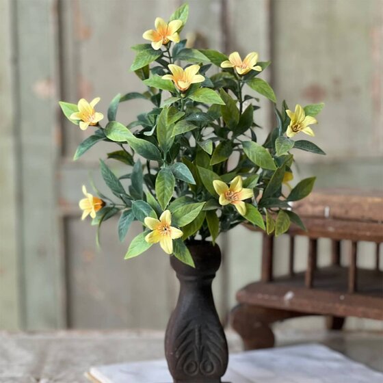 Bashful Blooms Bush Yellow