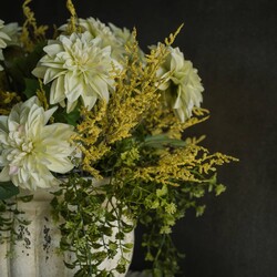 Yellow Dance Plant Bush - 14.5"