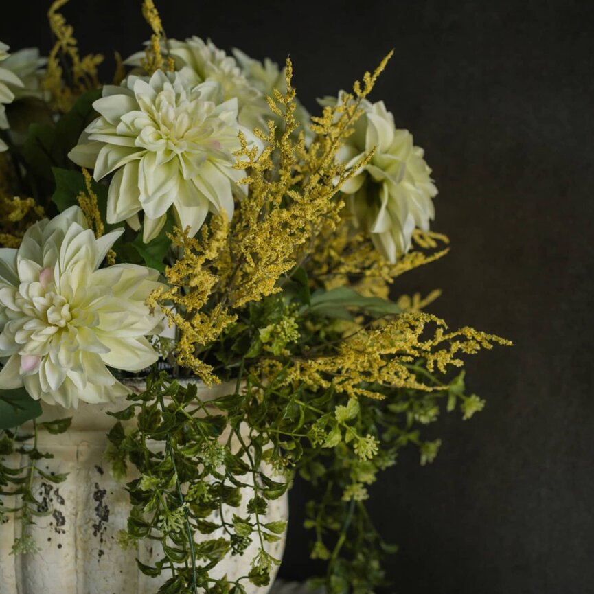 Yellow Dance Plant Bush - 14.5"