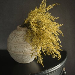 Yellow Dance Plant Bush - 14.5"