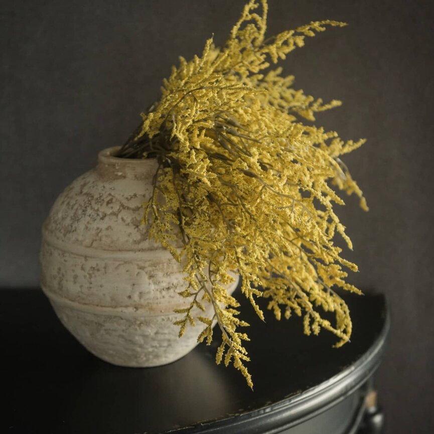 Yellow Dance Plant Bush - 14.5"