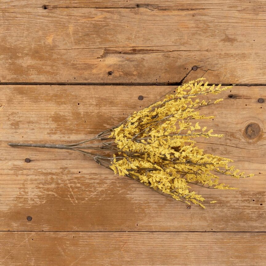 Yellow Dance Plant Bush - 14.5"