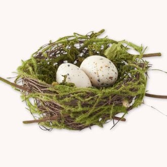 Bird Nest with 2 Eggs