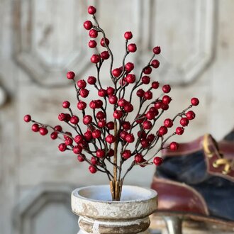 Hearth Berry Bush - 15"