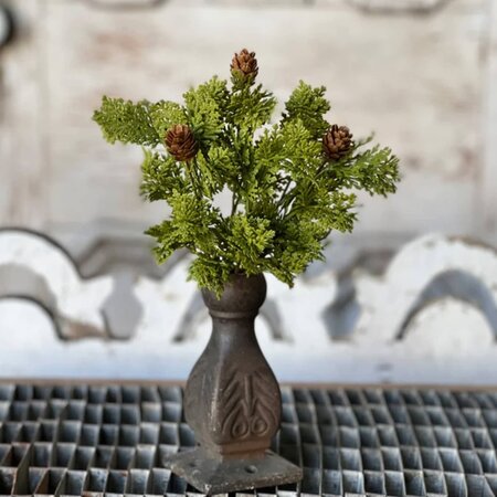 Leyland Cypress Bush