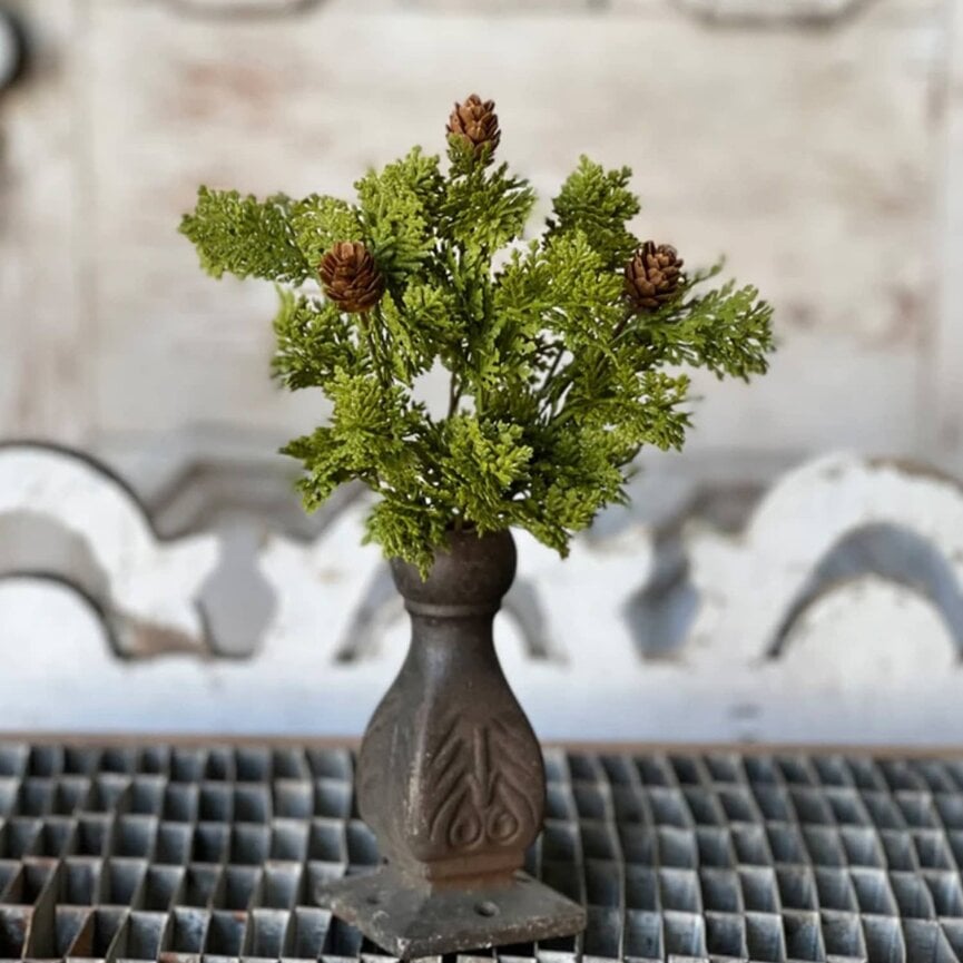 Leyland Cypress Bush - 10.5"