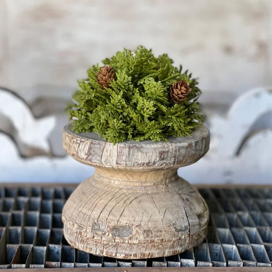 Leyland Cypress Half Sphere - 5.5"