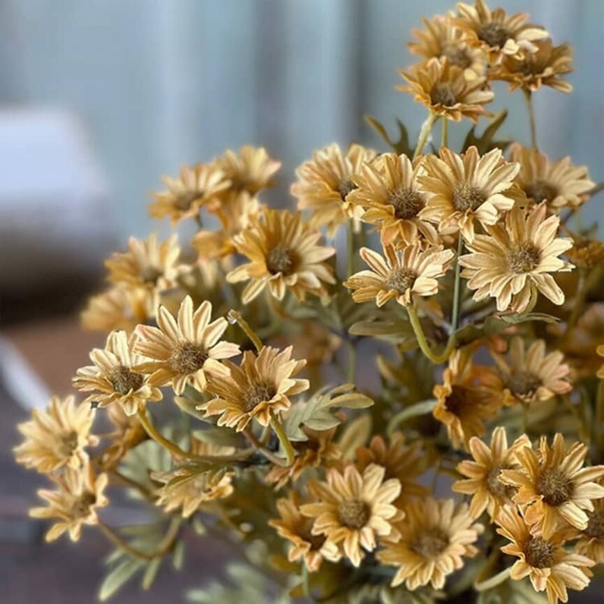 Ashdale Daisy Bush Mustard - 16"