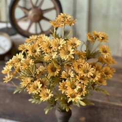 Ashdale Daisy Bush Mustard - 16"