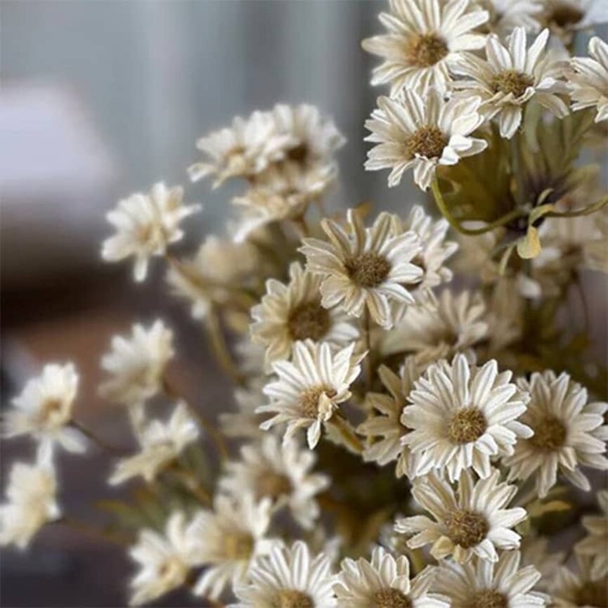 Ashdale Daisy Bush Ecru - 16"