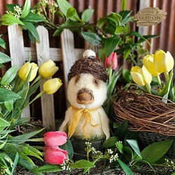 Duckling with Nest Egg Hat Sitting In Pantry Box - 11"