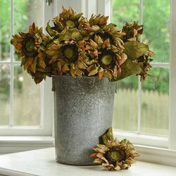 Aged Sunflower - 27"