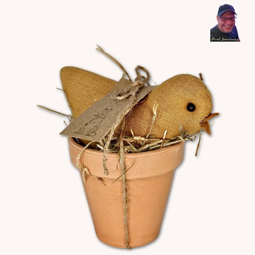 Chick In Clay Flower Pot - 6"