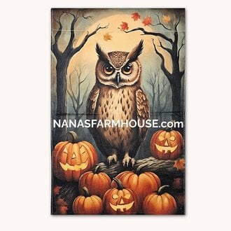 Halloween Owl Garden Flag Double Sided -17.25"