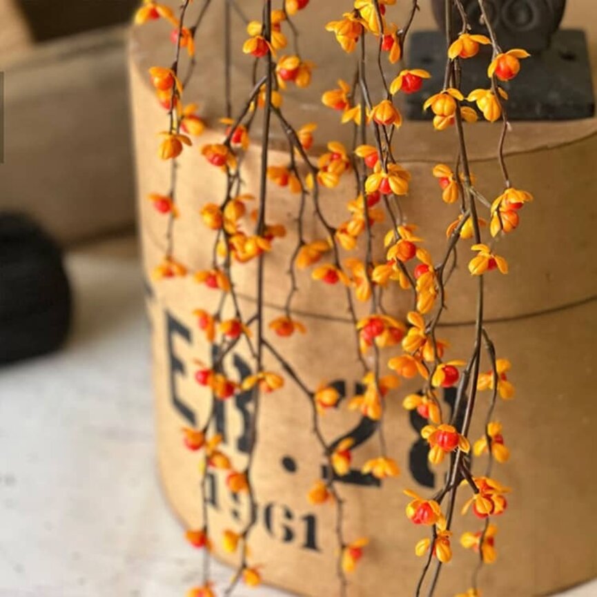 Briery Bittersweet Hanging - 27"