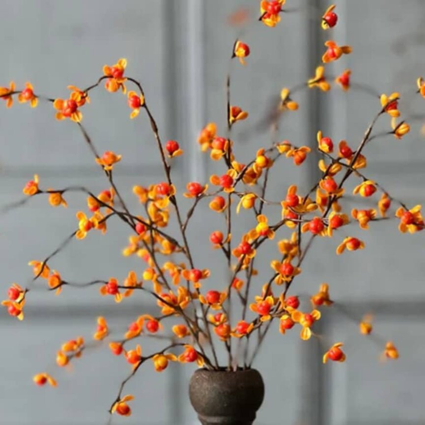 Briery Bittersweet Bush - 17"