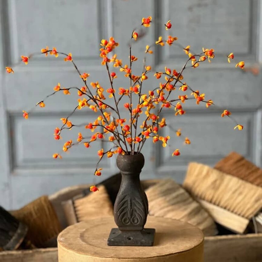 Briery Bittersweet Bush - 17"