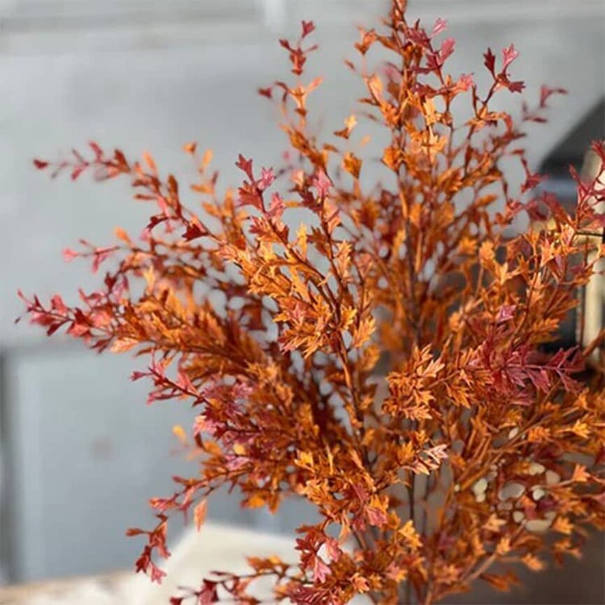 Ever Embers Bush - 20"