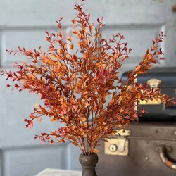 Ever Embers Bush - 20"