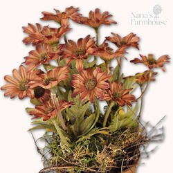 Primitive Floral Pot Ashdale Daisy Rust - 10"