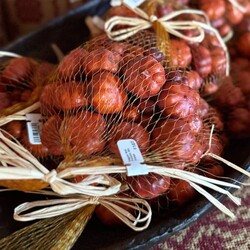 Bagged Mini Pumpkin Bowl Filler - Orange