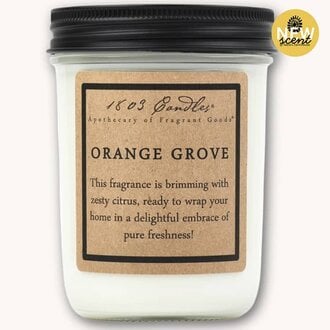 1803 Orange Grove Candle