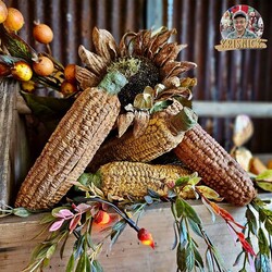 Krisnick -  Ear of Corn - 8"