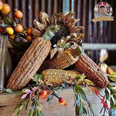 Krisnick -  Ear of Corn - 8"