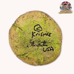 Krisnick Green & White Pumpkin with Dried Stem - 9" x 4"