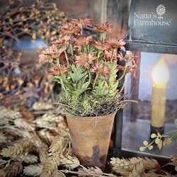 Primitive Floral Pot Ashdale Daisy Rust - 10"