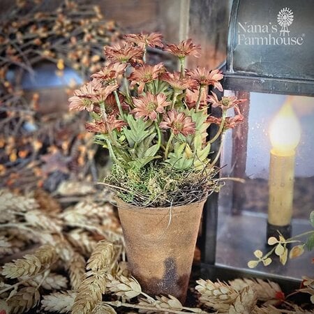 Ashdale Daisy Rust Primitive Floral Pot